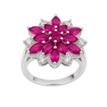 Anillo 3