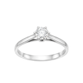 Anillo 5