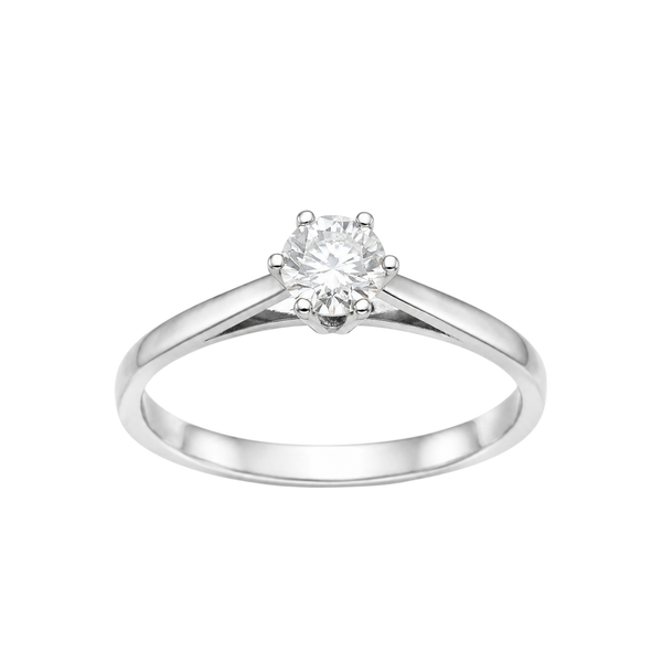 Anillo 5