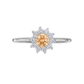Anillo 4