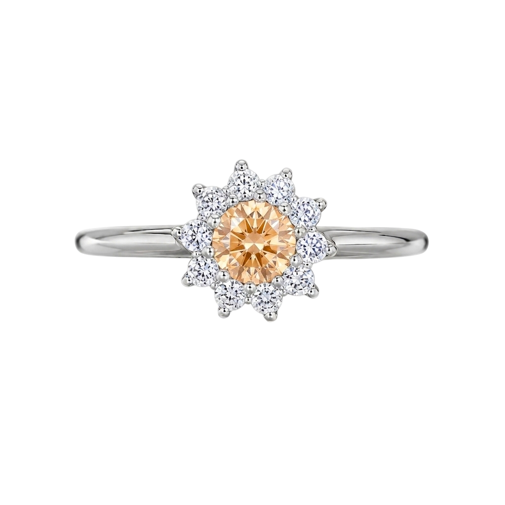 Anillo 4