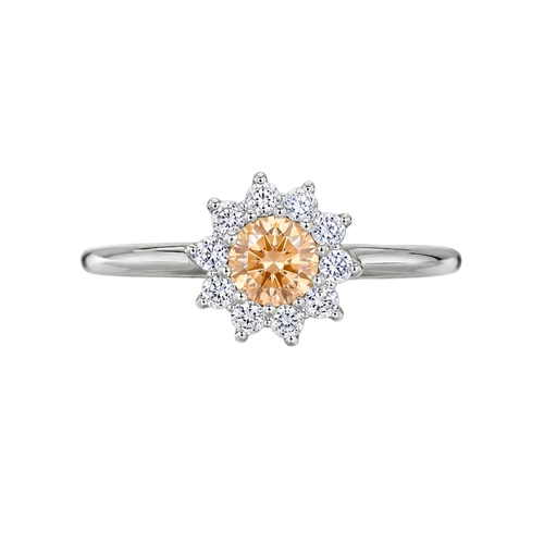 Anillo 4