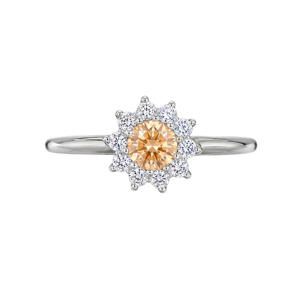 Anillo 4