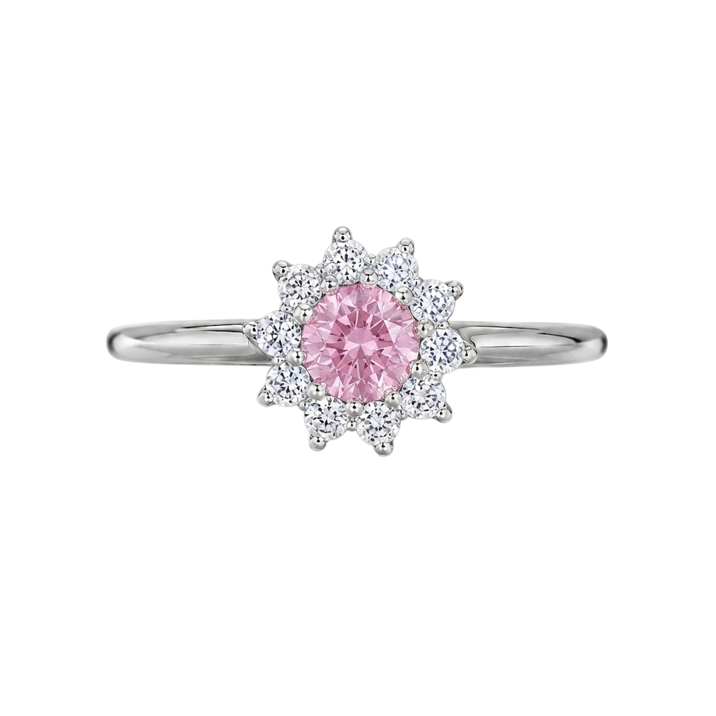 Anillo 4